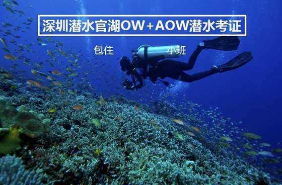 想在上海找个密室逃脱体验下，大家推荐一个？游戏画面